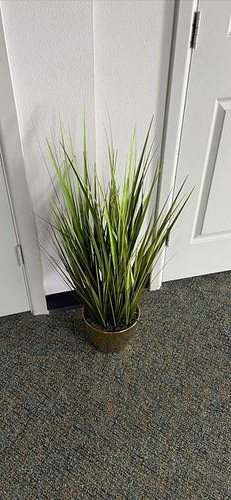 Artificial Decorative Plant