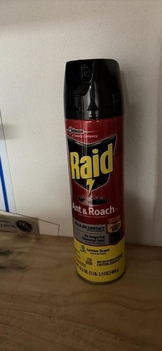 Raid Ant & Roach Spray