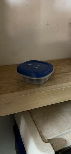 Clear plastic container with blue lid