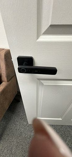 Pulido Fingerprint Door Knobs