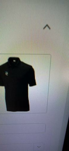 Sales Shirt with Printed Company Logo — L